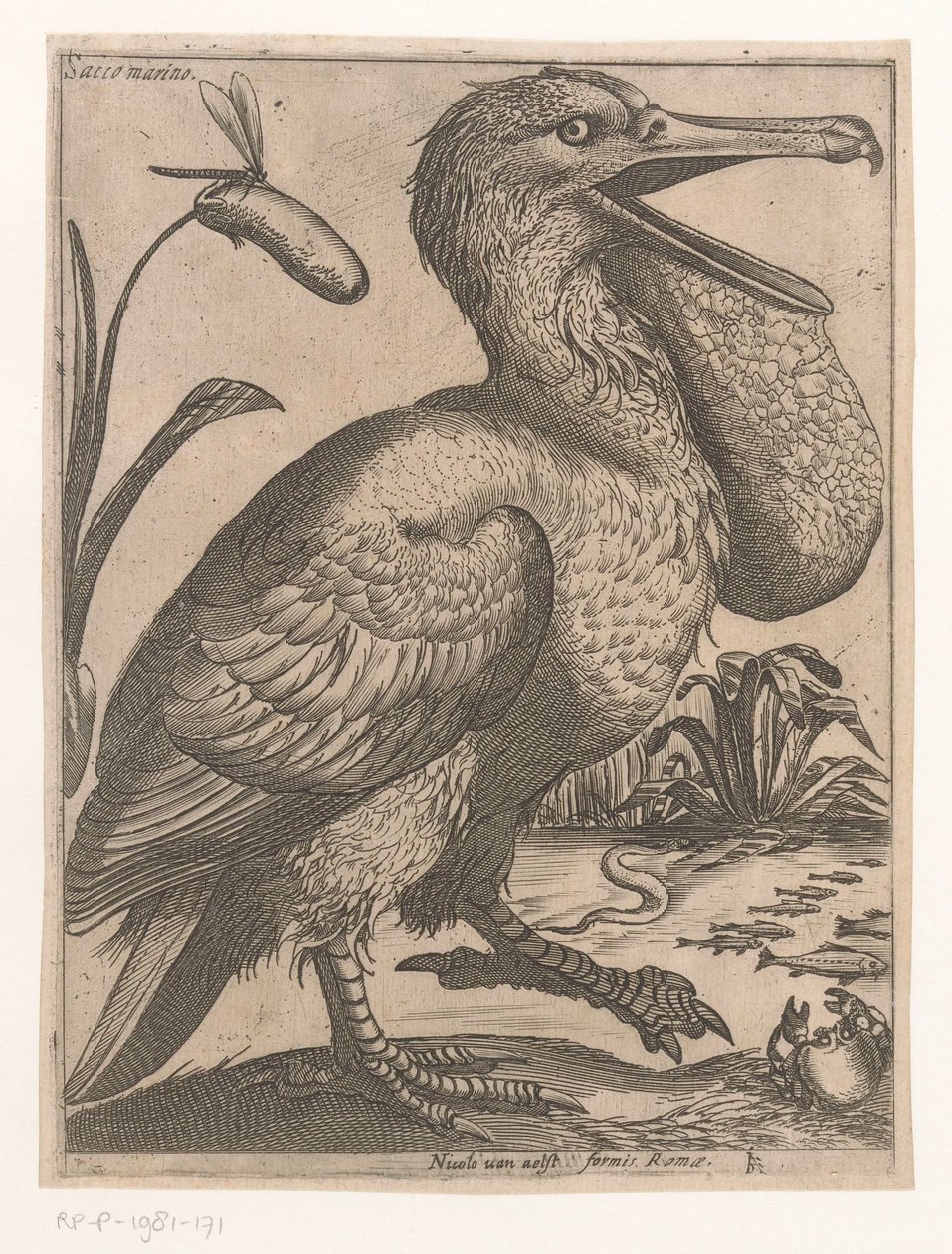 vattenfågel Sacco Marino (titel på objekt) Nine Birds (serietitel) av Jacques de Fornazeris