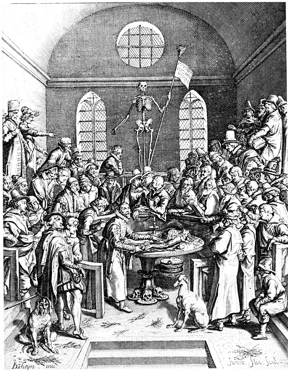 Anatomiteater från slutet av 1500-talet, Jacques de Gheyn den äldre, 1633 av Jacques de Gehyn the Elder