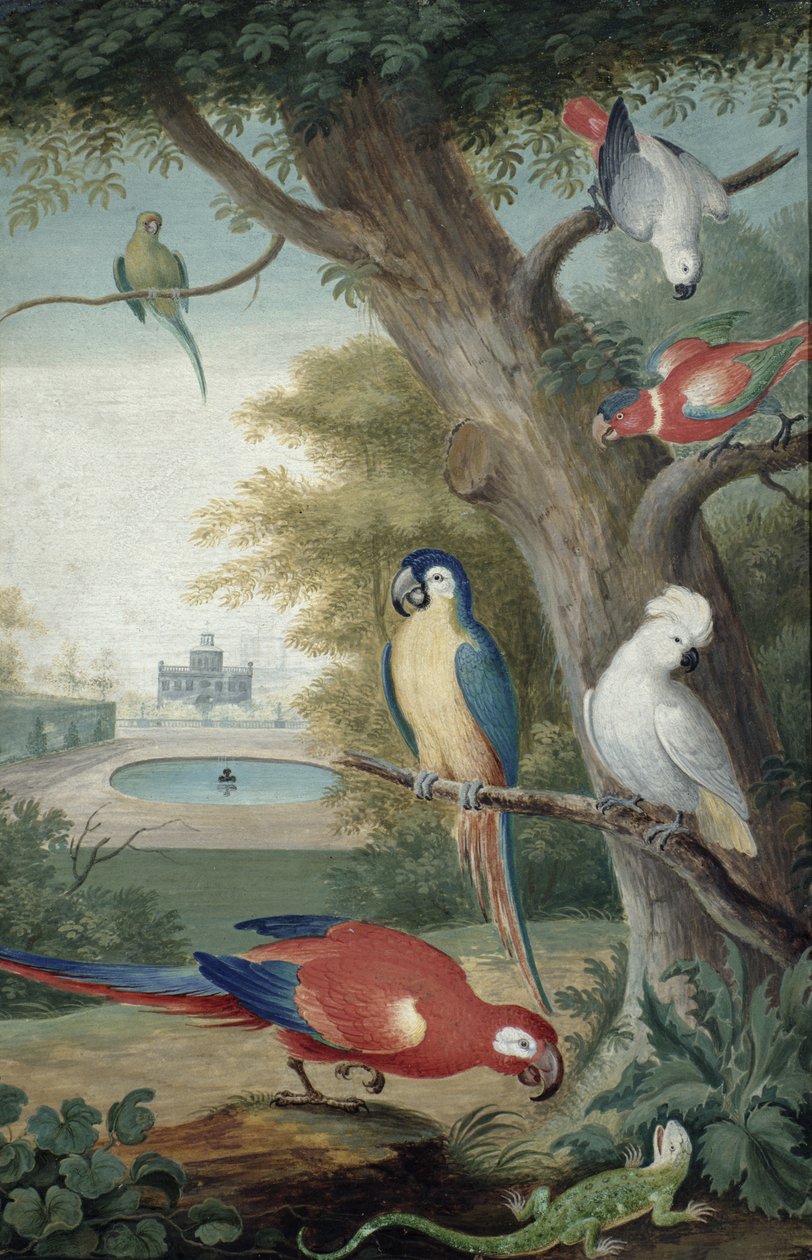 Papegojor och en ödla i en pittoresk park, tidigt 1700-tal av Jakob Bogdani or Bogdany