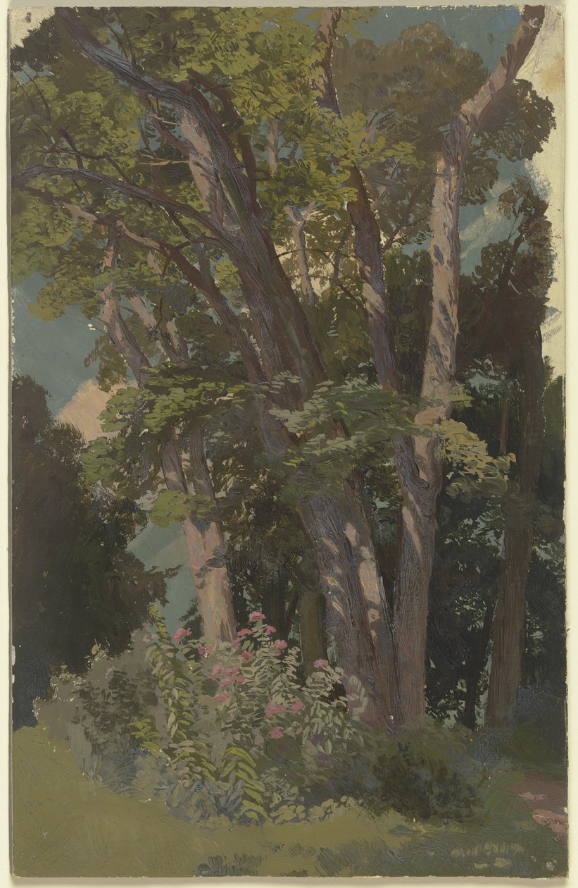 Parkstudie, glänta av Jakob Becker