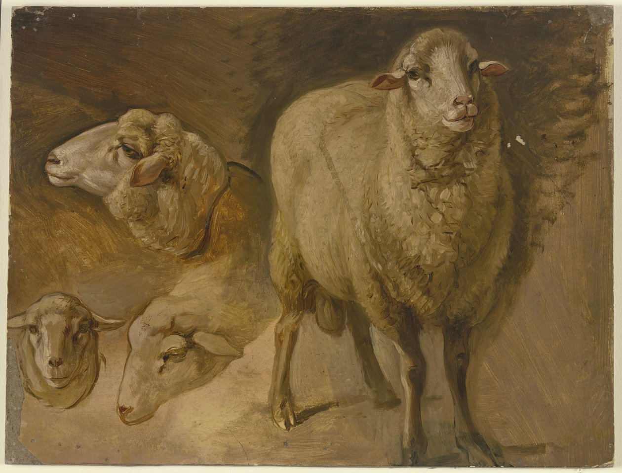 Får av Jakob Becker