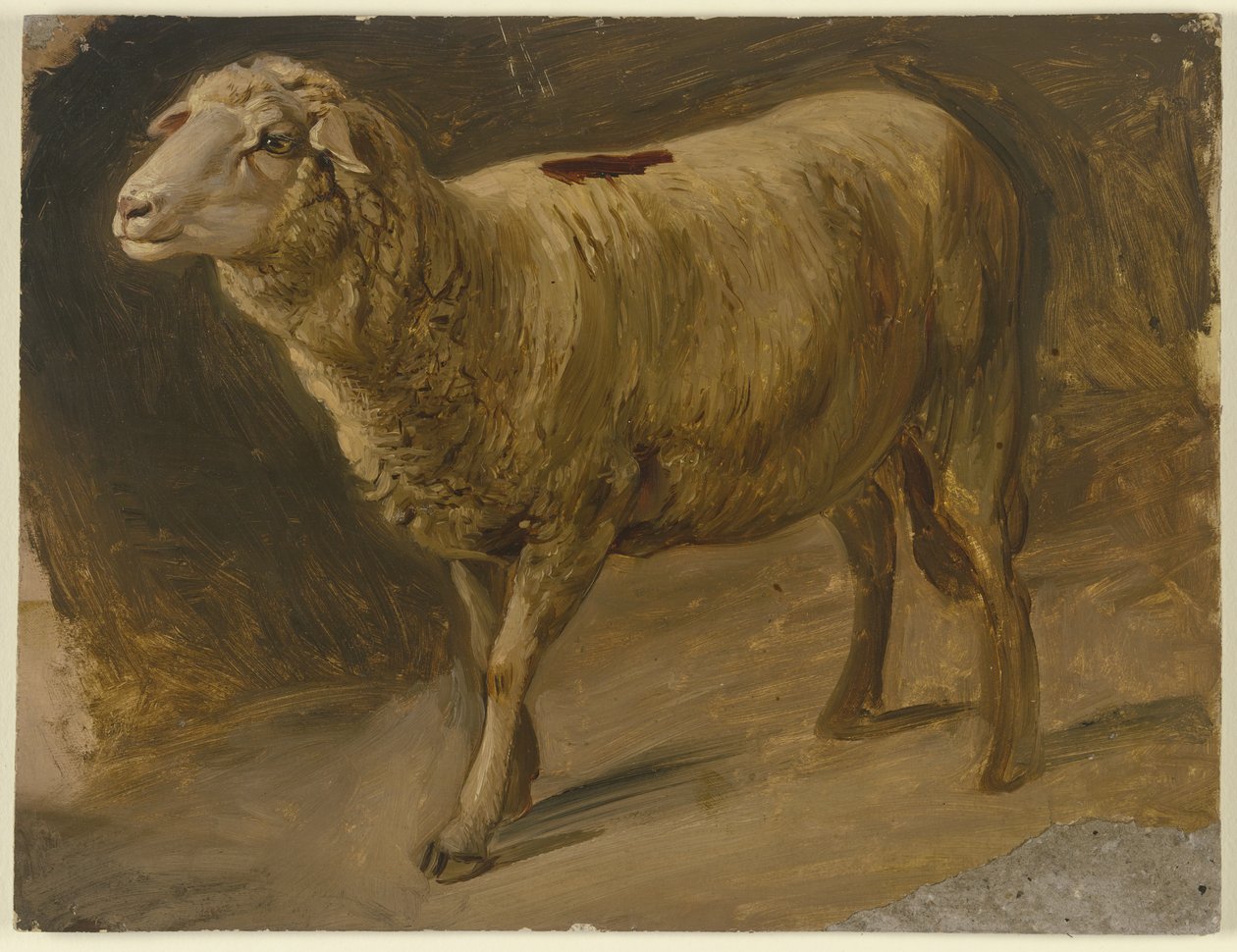Får av Jakob Becker
