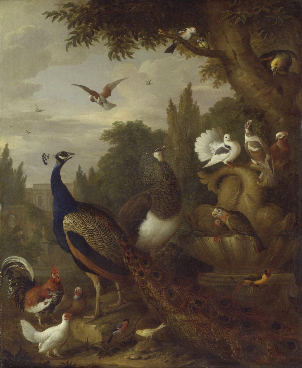 Påfågel, påfågel, papegojor, kanariefågel och andra fåglar i en park, ca 1708-10 av Jakob Bogdani or Bogdany