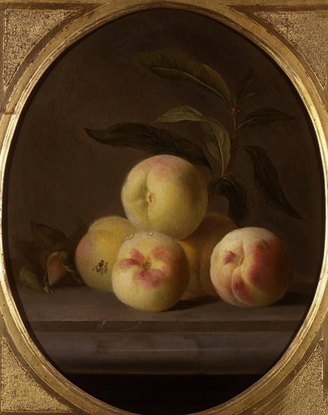 Stilleben av frukt med en fluga (olja på duk) av Jakob Bogdani or Bogdany