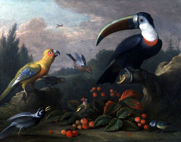 Tukan med andra fåglar (olja på duk) av Jakob Bogdani or Bogdany
