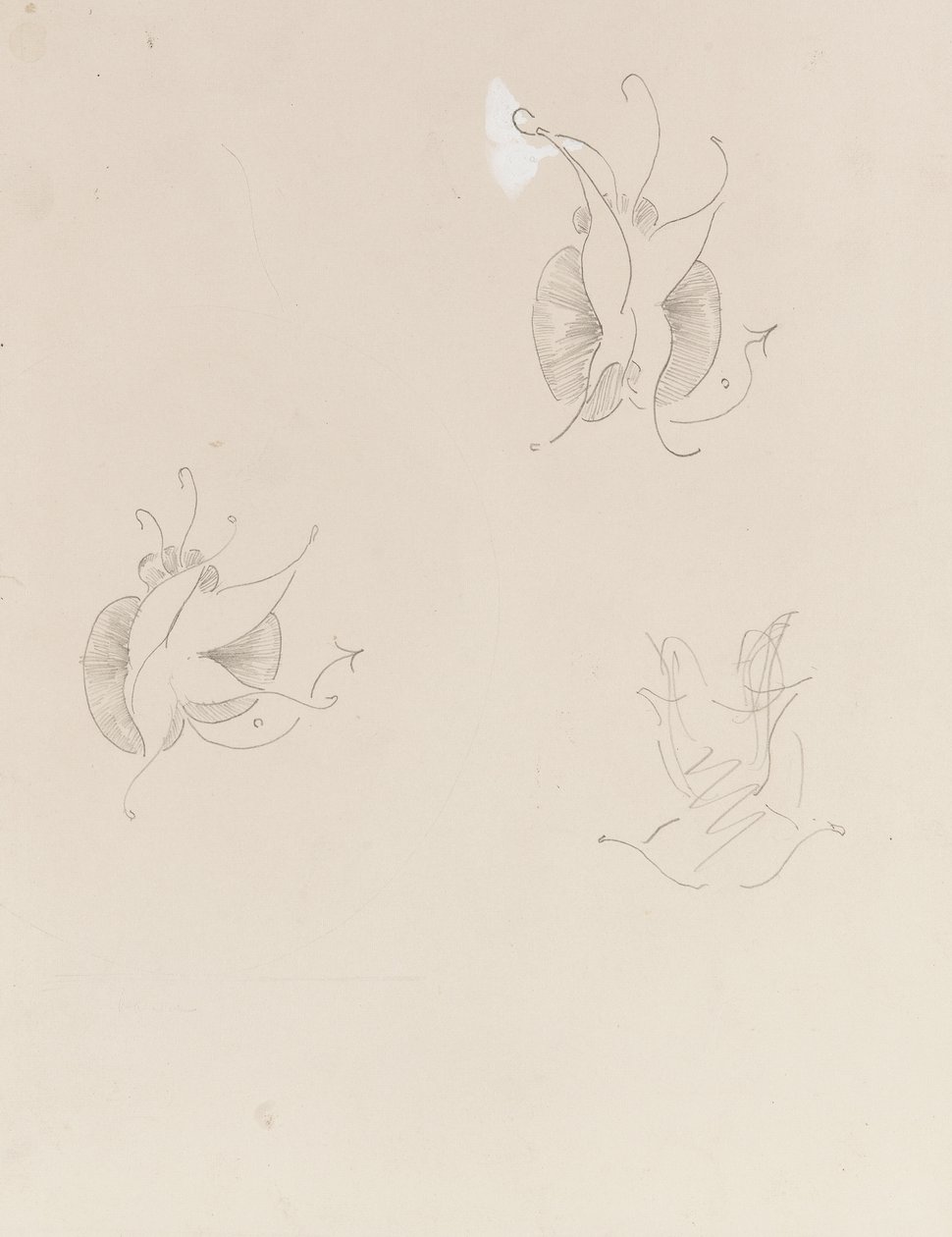 Två Whistler Butterflies och en förstörd skiss, c.1890 (penna och kinesisk vit på papper) av James Abbott McNeill Whistler