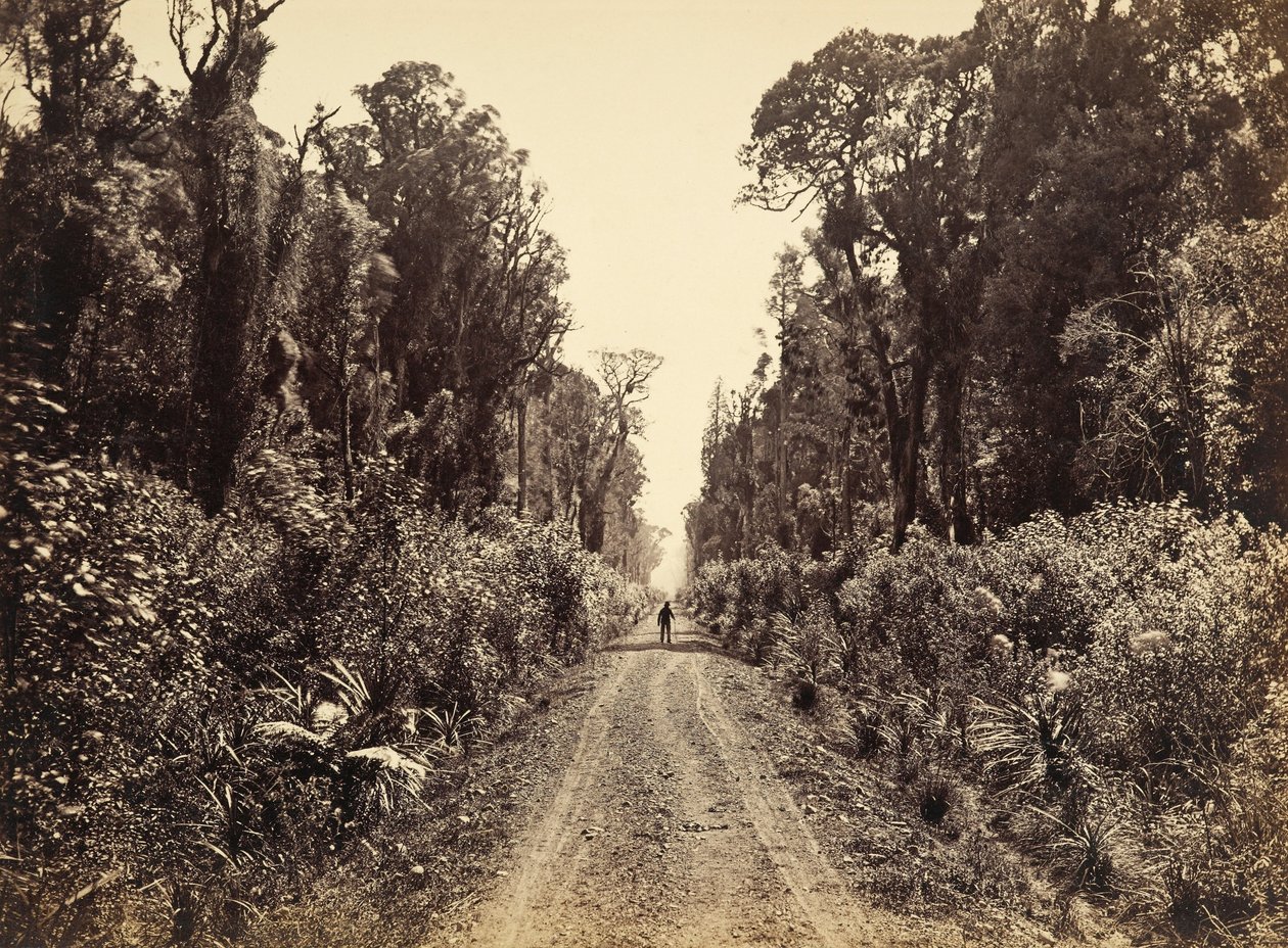 Five Mile Avenue, Forty Mile Bush av James Bragge