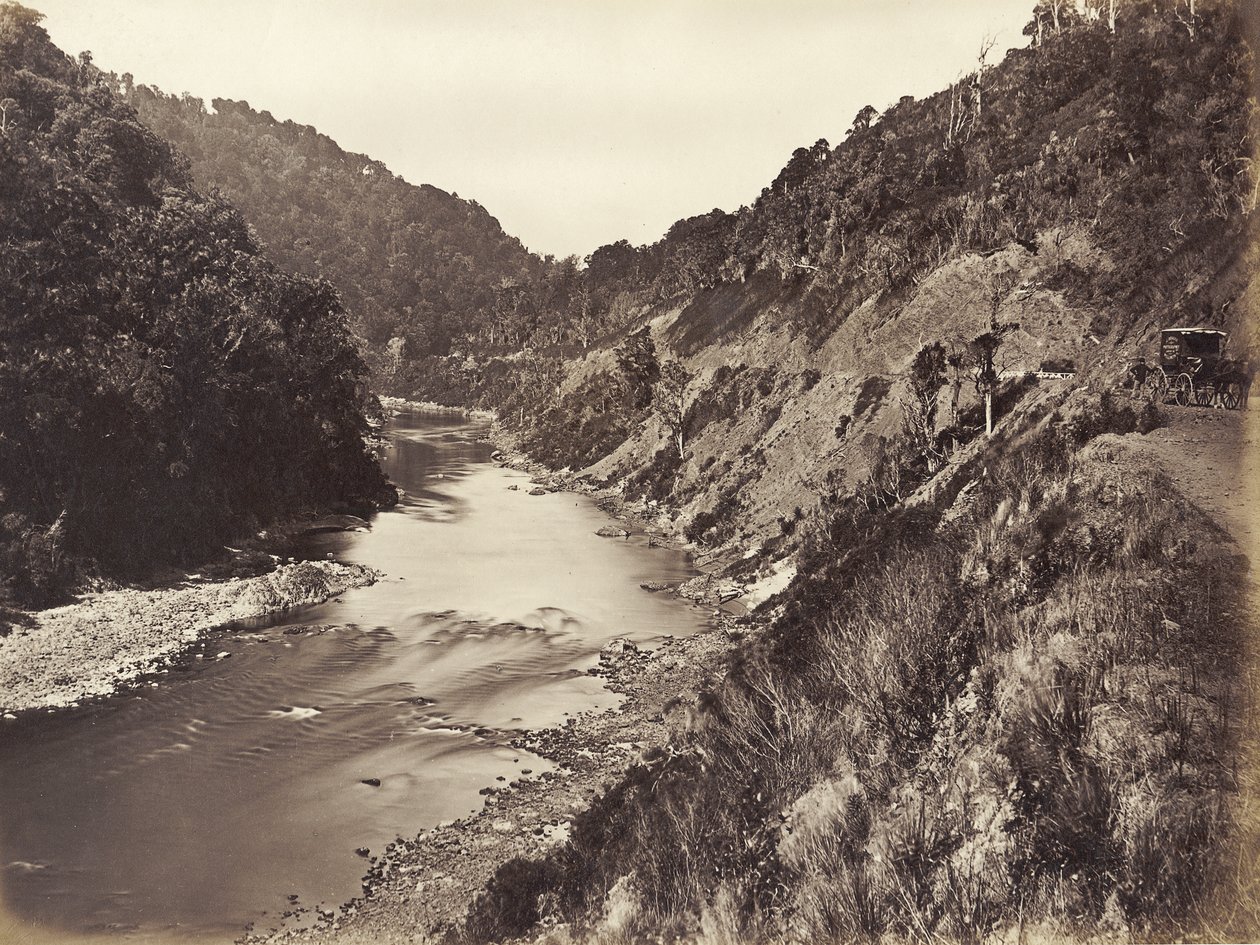 Manawatu Gorge 1 Mile From Bridge, 1878 (albumintryck) av James Bragge