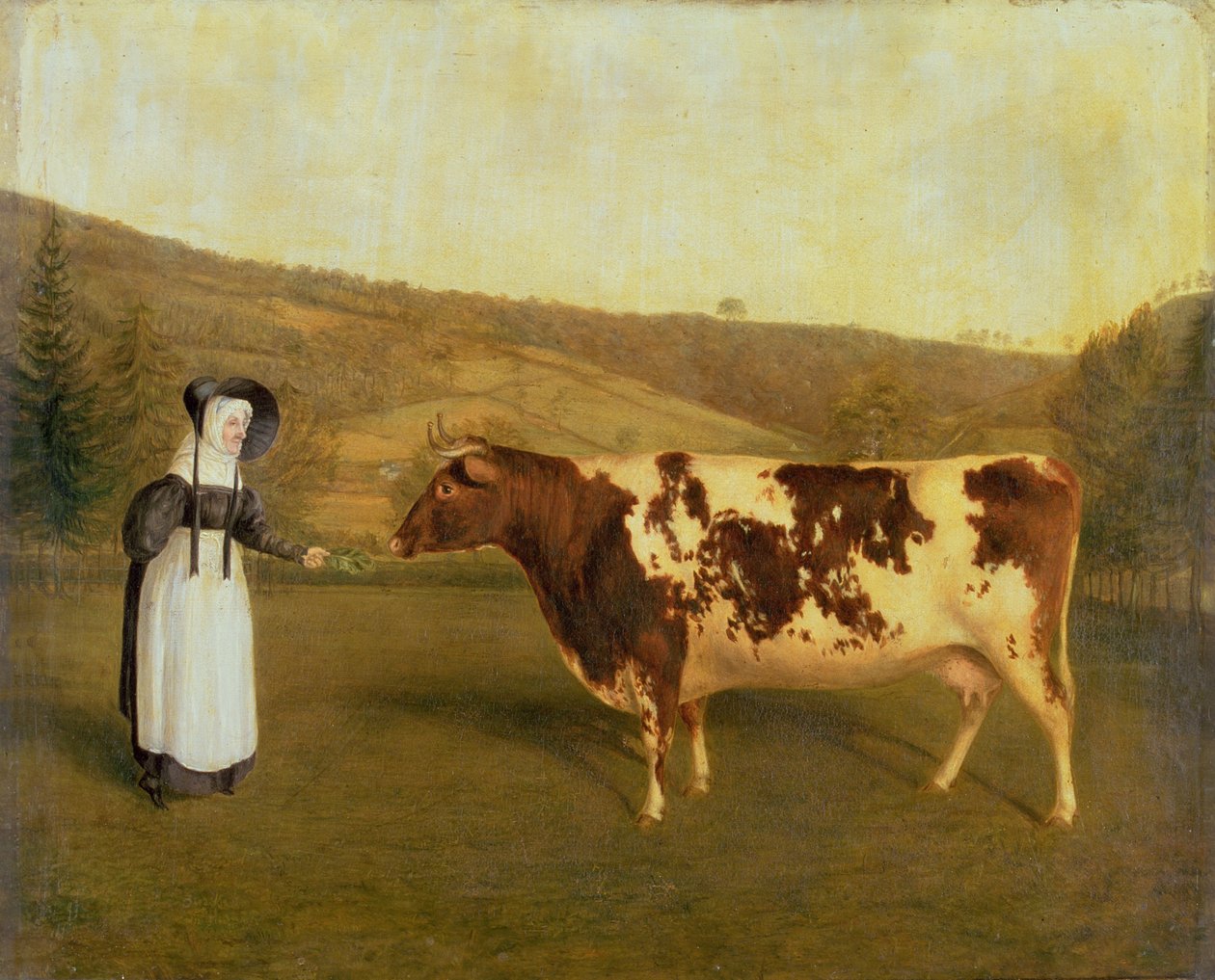 Korthornsko, ca 1840-50 av James Flewitt Mullock