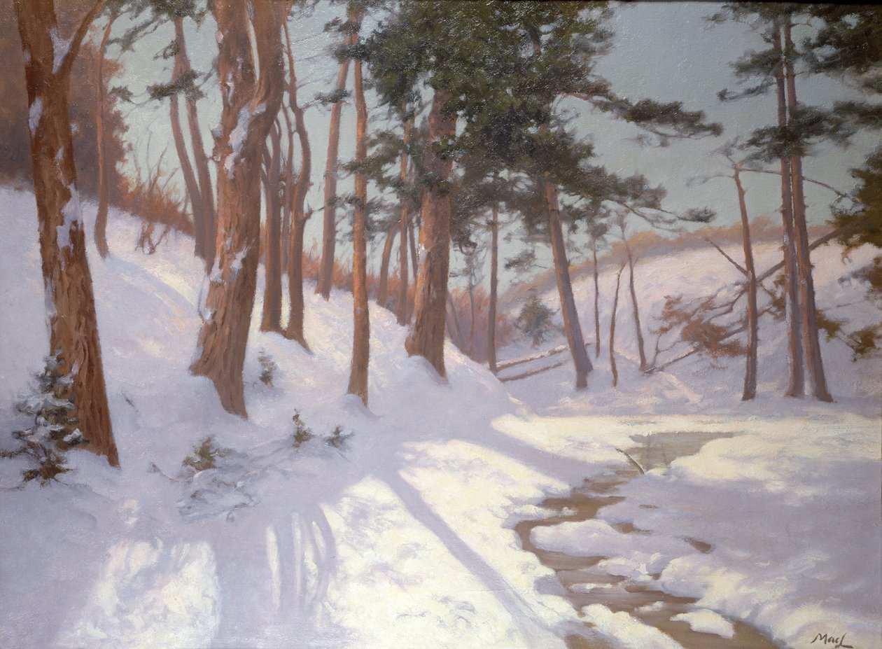 Vinterskog med bäck av James MacLaren