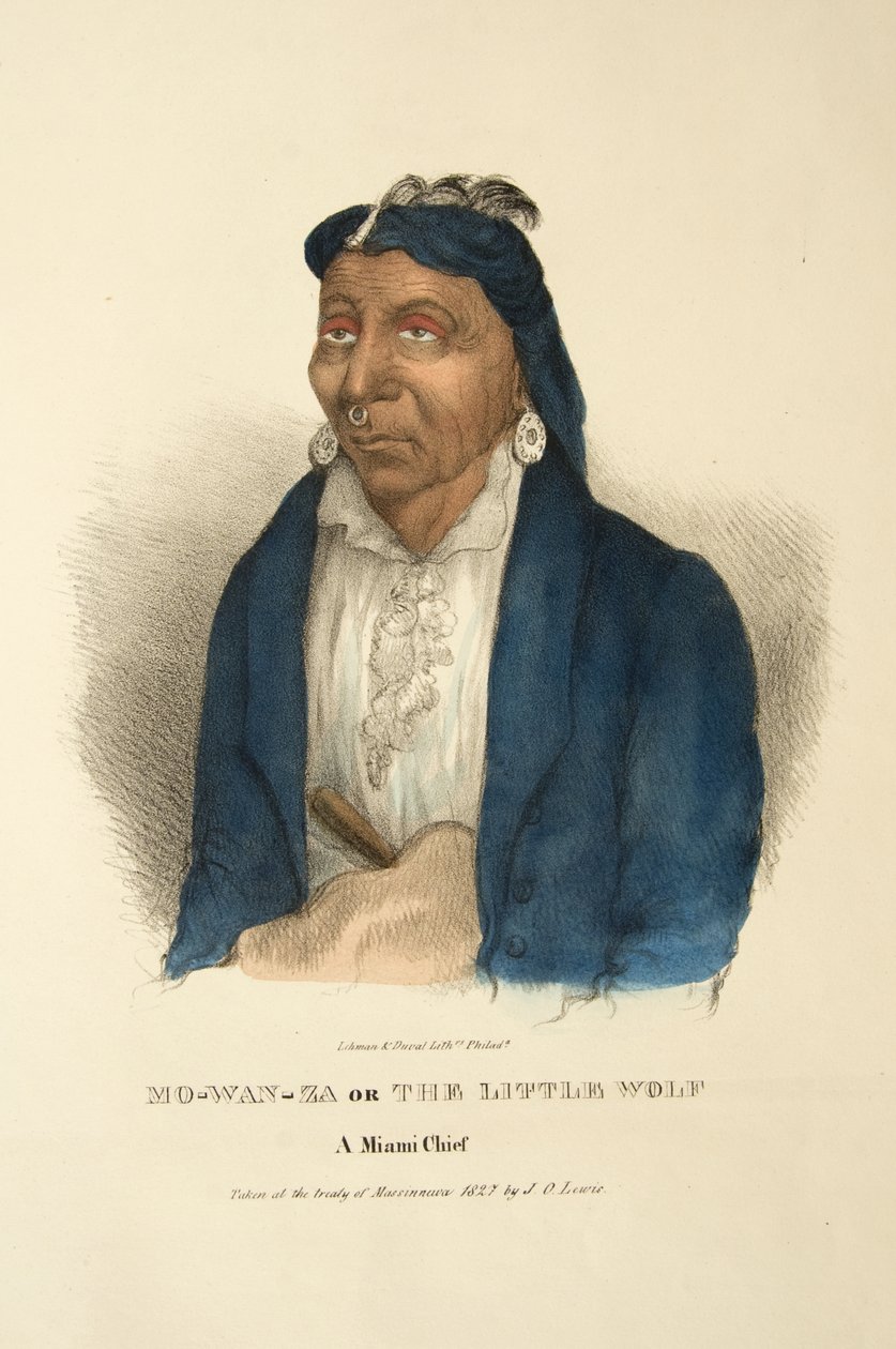 Mo-wan-za eller Den lilla vargen av James Otto Lewis