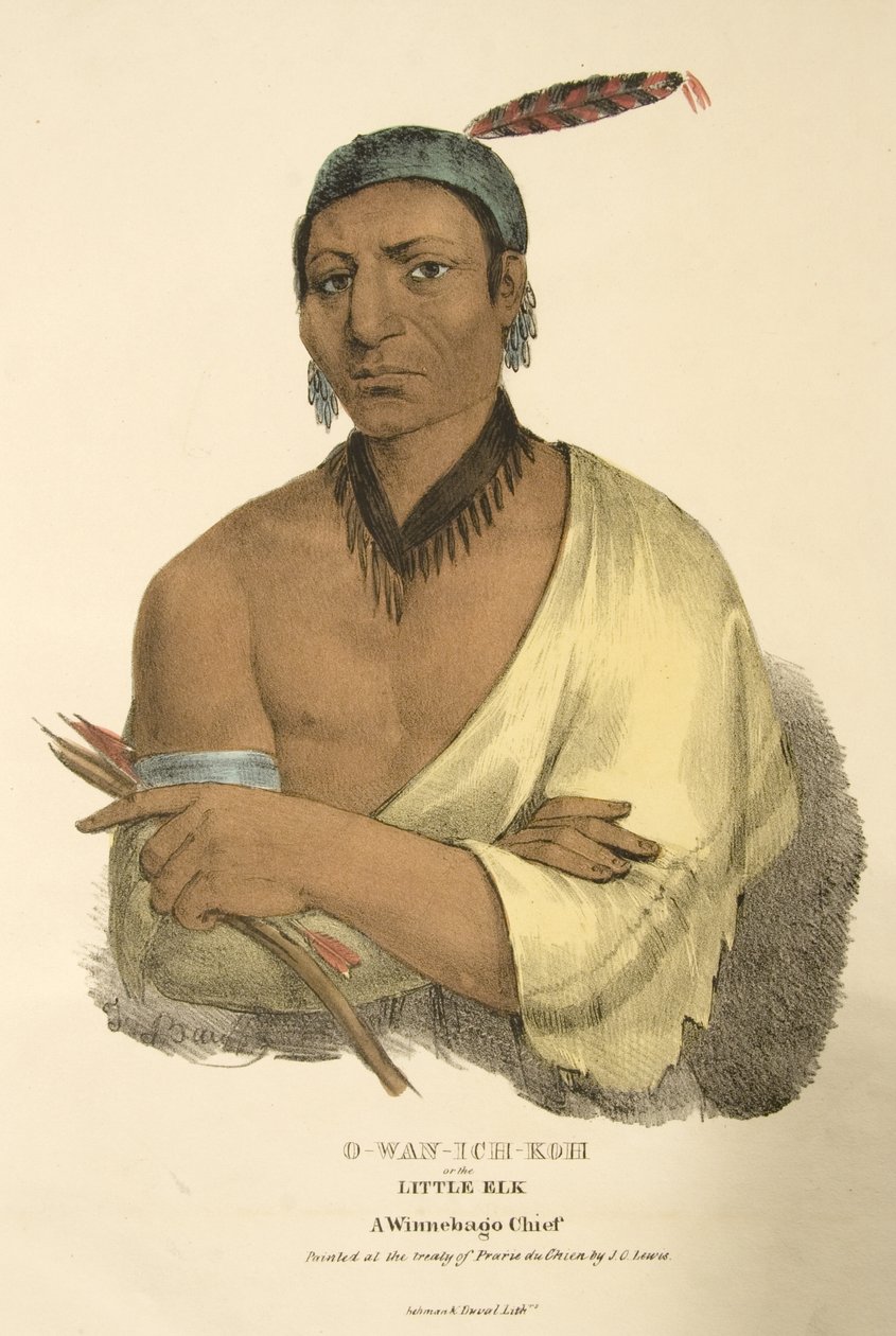 O-wan-ich-koh eller den lilla älgen av James Otto Lewis