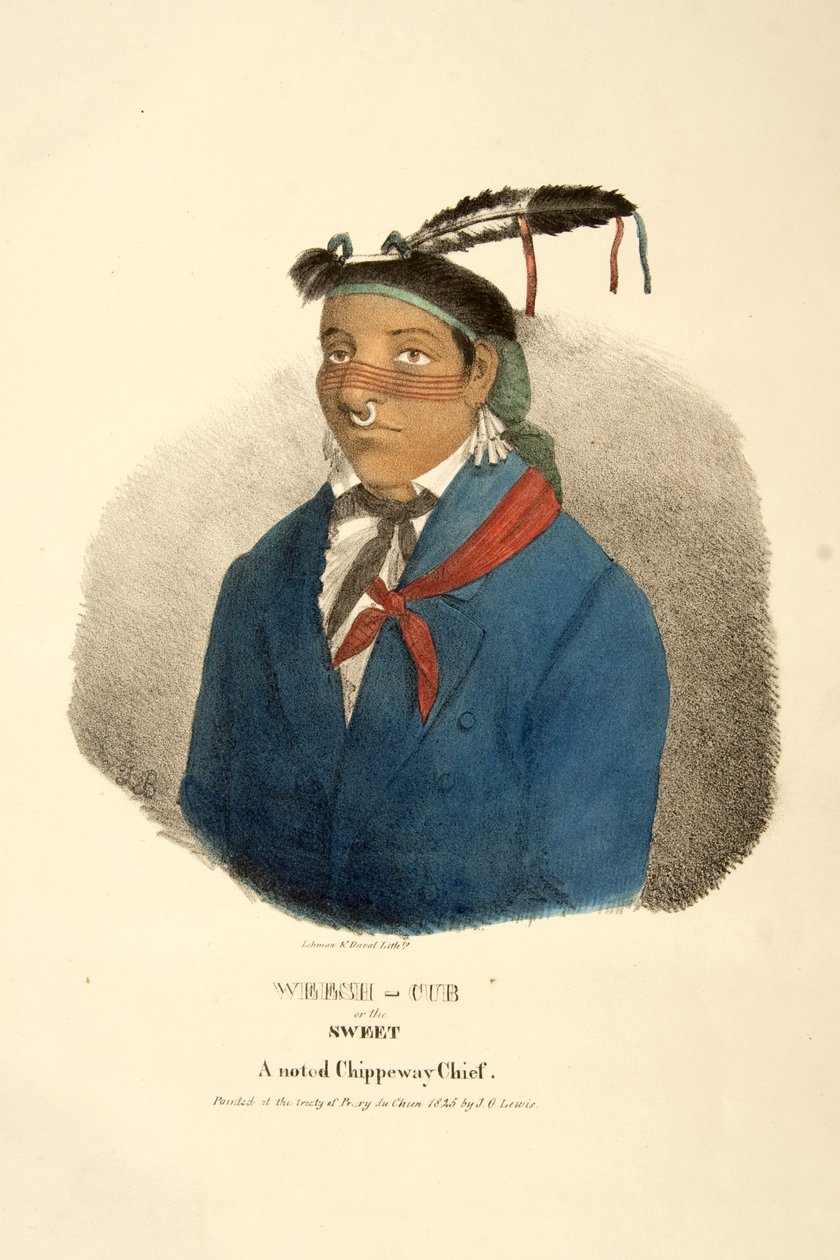 Weesh-cub eller Sweet av James Otto Lewis