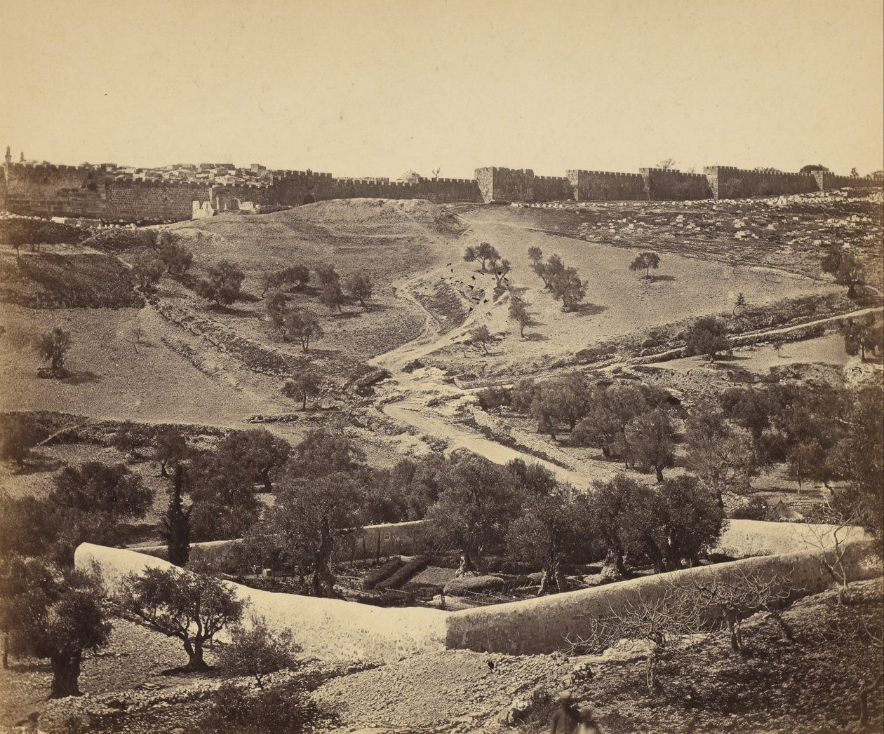 (Jerusalem. Getsemane trädgård) av James Robertson