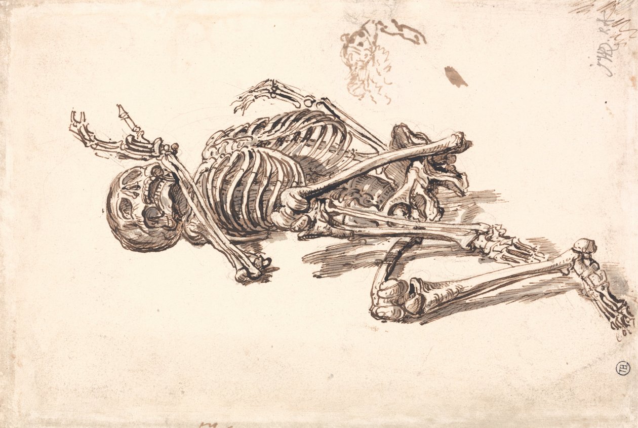 A Human Skeleton av James Ward