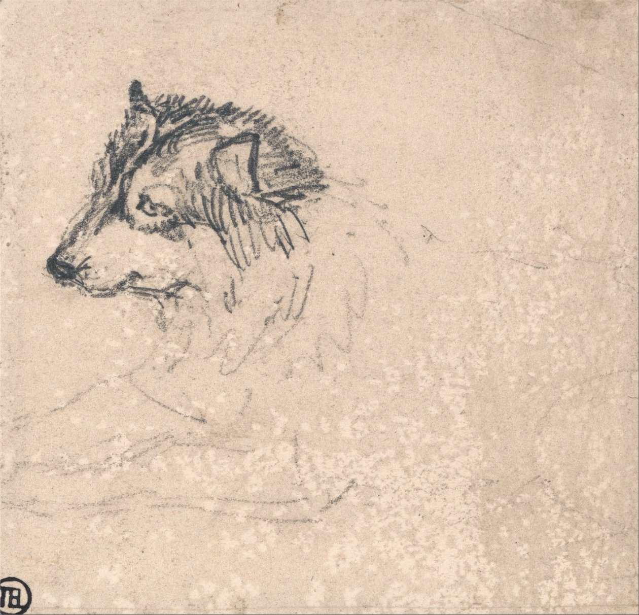 Arctic Dog, mot vänster av James Ward