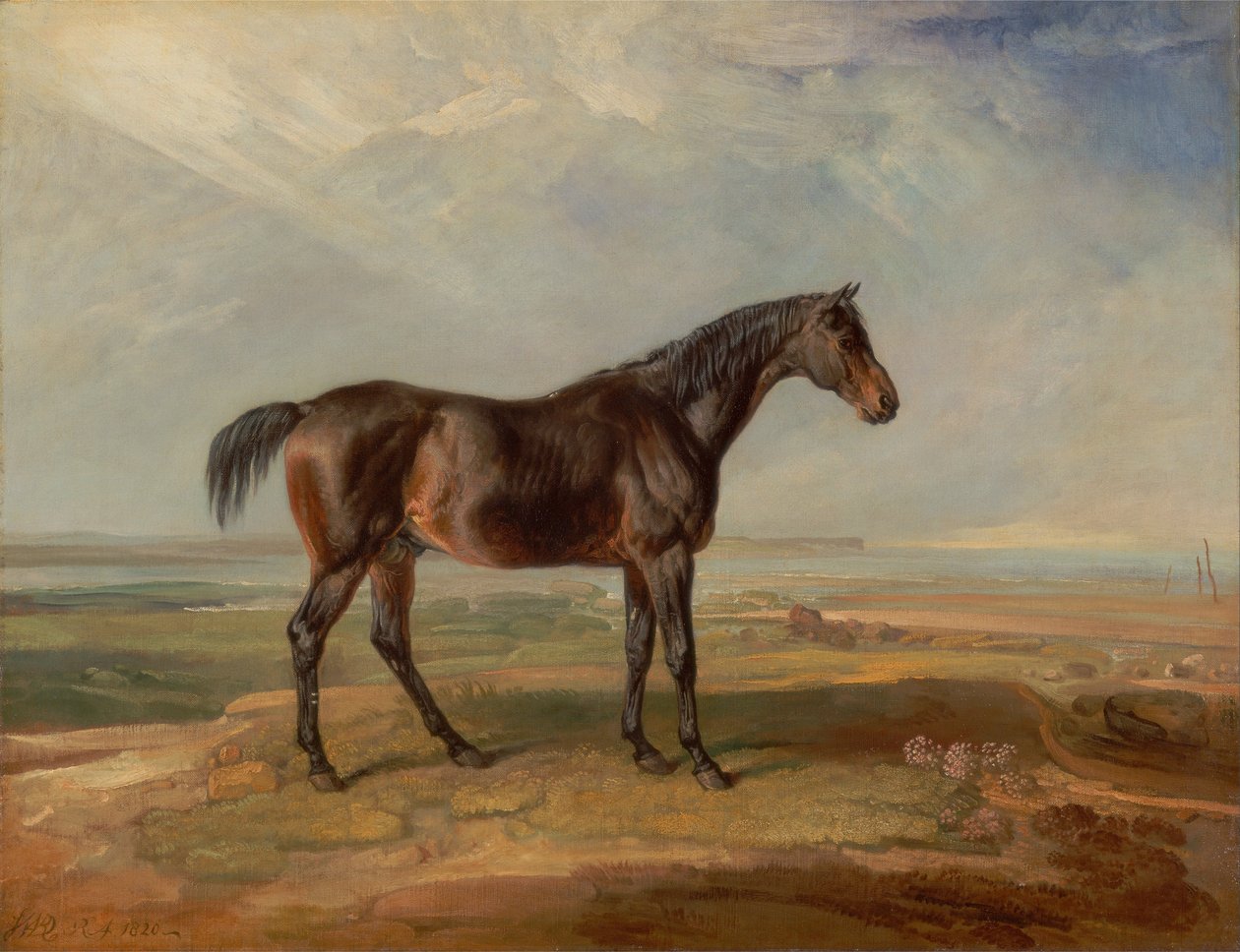 Dr Syntax, en Bay Race Horse, Stående i ett kustlandskap, en flodmynning bortom av James Ward