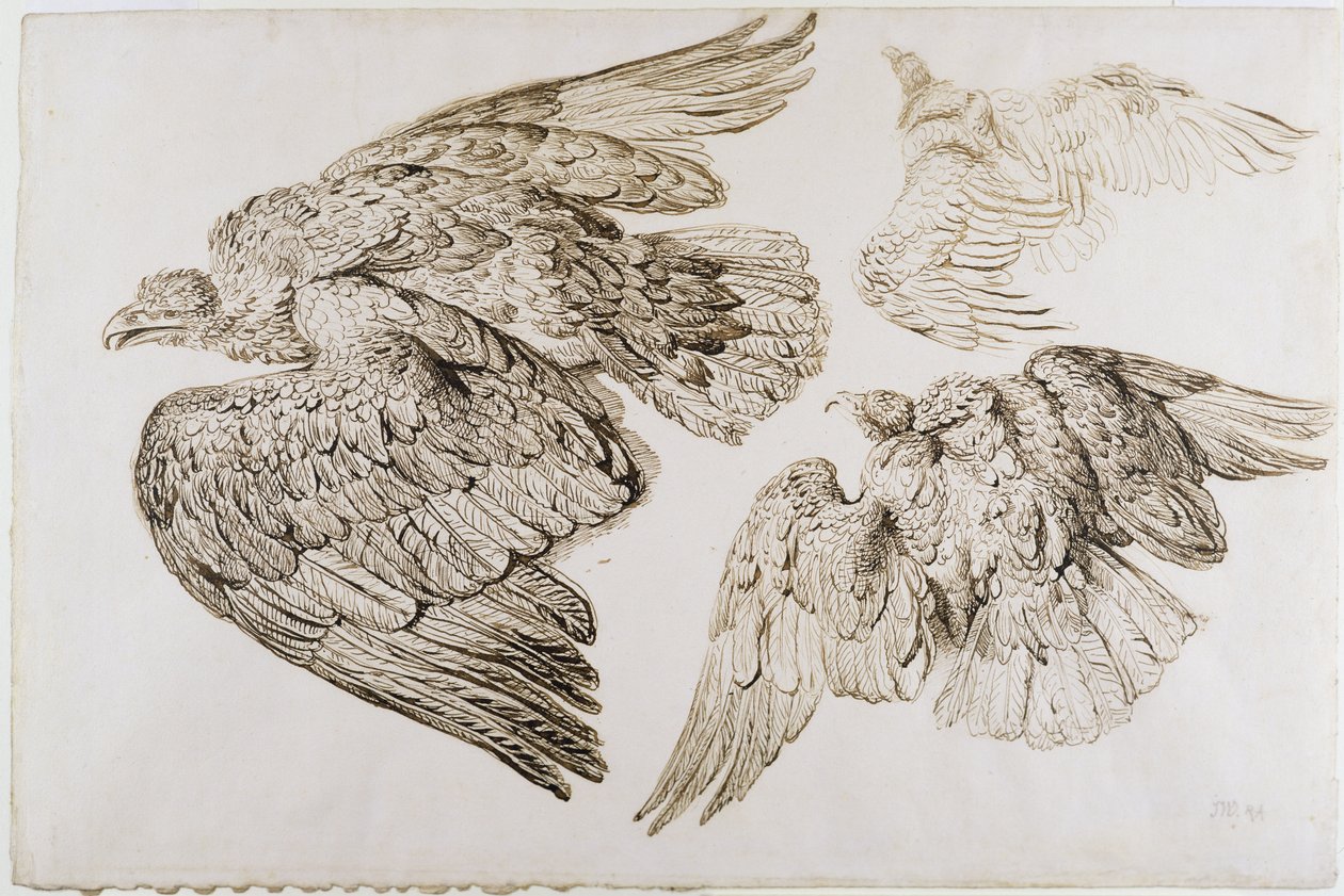 Eagles (penna och brunt bläck på papper) av James Ward