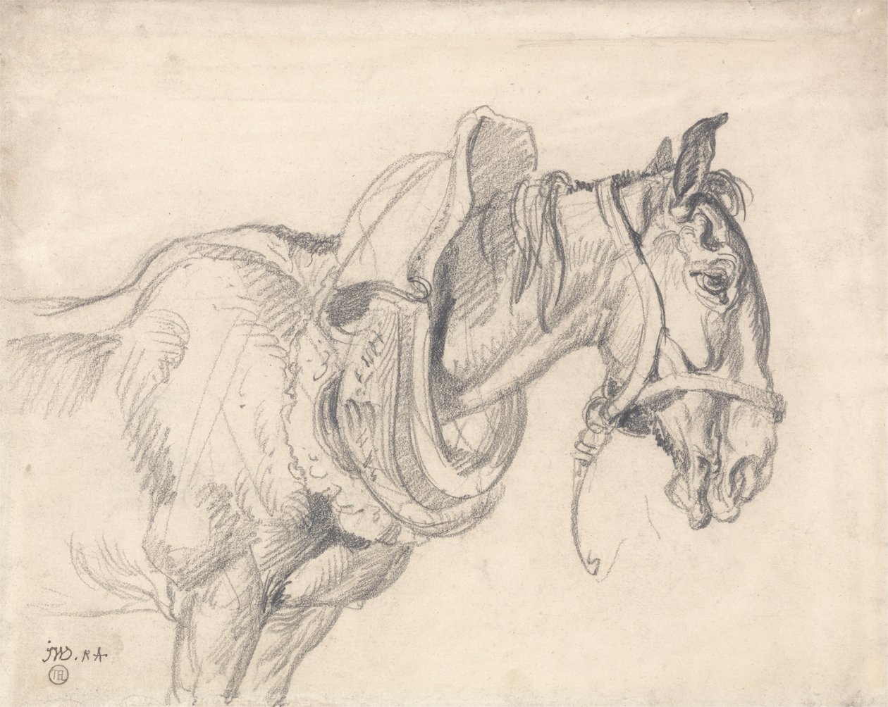 Head and Shoulders of a Cart Horse av James Ward