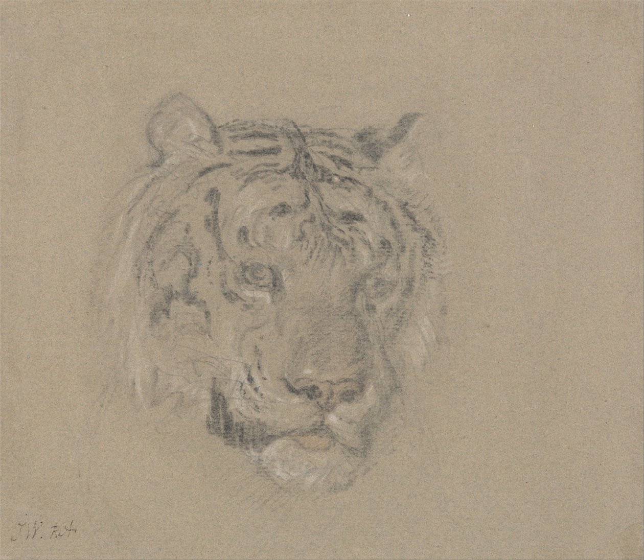 Head of a Tiger av James Ward