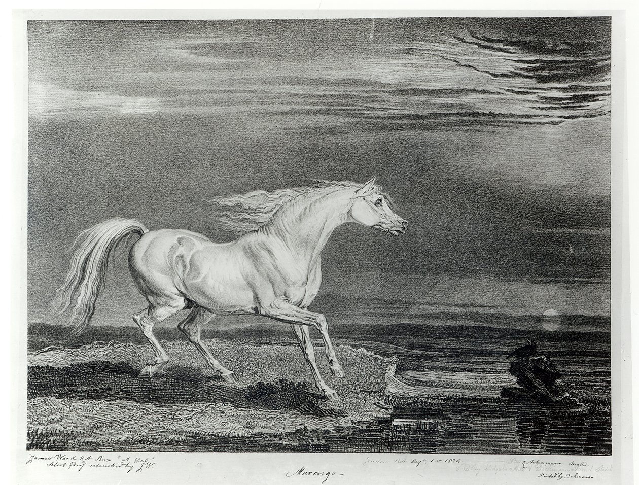 Marengo, graverad av konstnären, utgiven av R. Ackermann, 1824. av James Ward