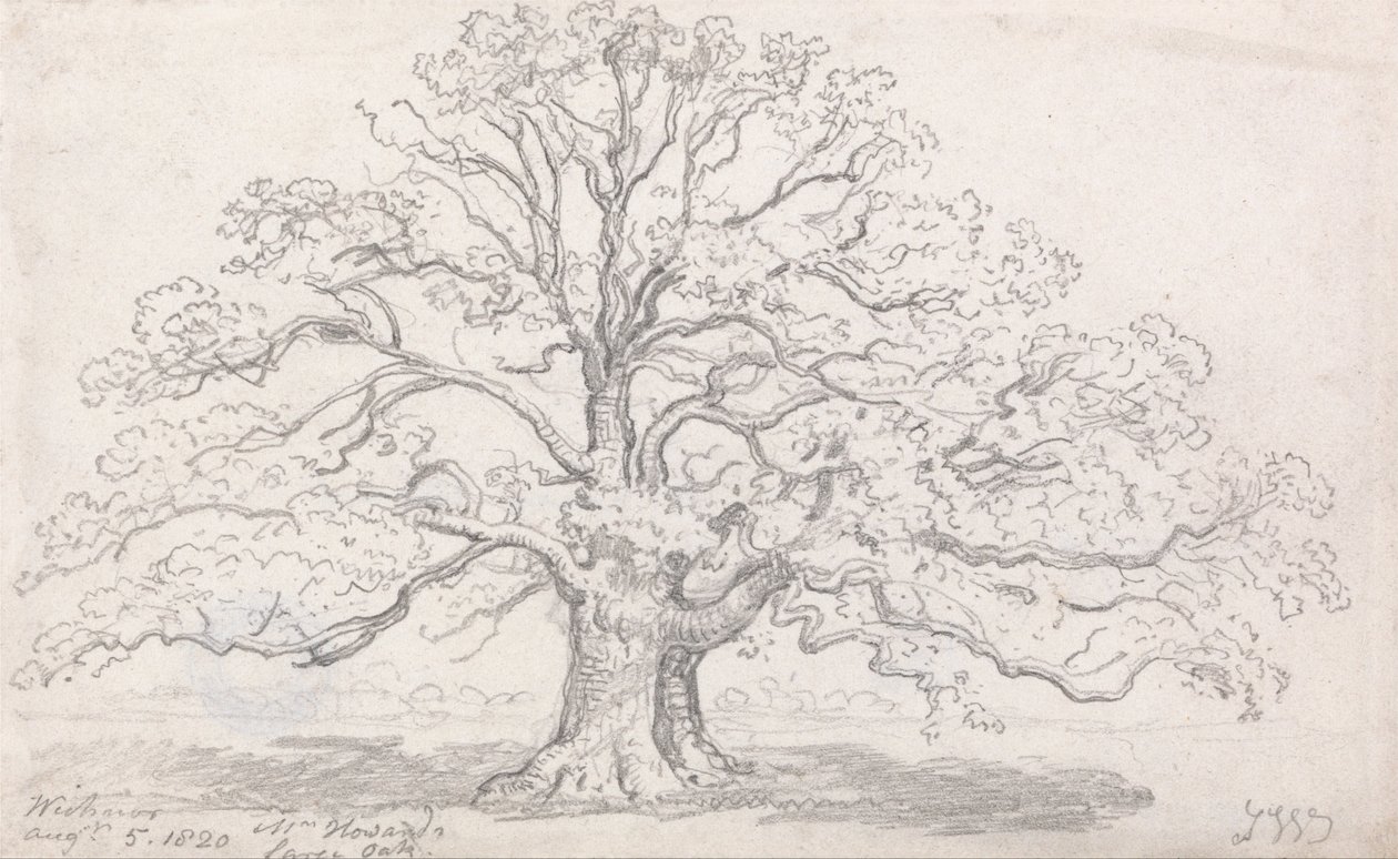 Mr. Howards Large Oak, 5 augusti 1820 av James Ward