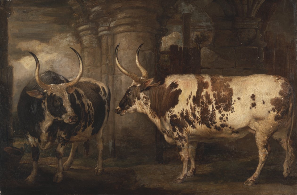 Porträtt av två extraordinära oxar som tillhör Earl of Powis. av James Ward