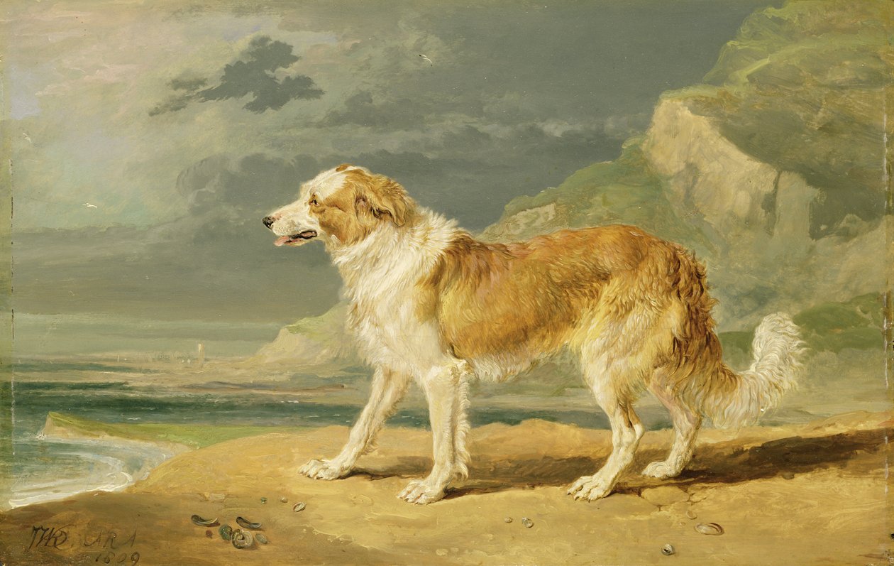 Råbelagd Collie, 1809 av James Ward