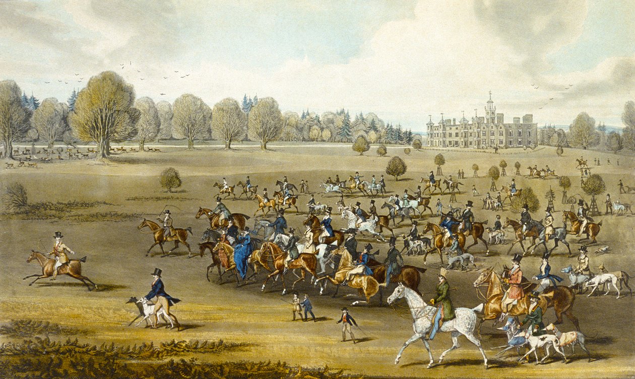 Kursare som tar fältet i Hatfield Park, graverade av James Pollard (1797-1867) (lito i färg) (se även 266807) av James (after) Pollard