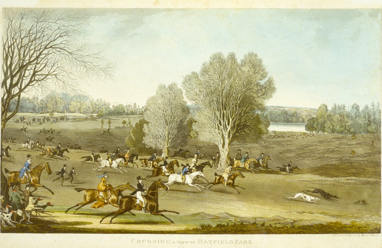 Coursing - A View of Hatfield Park, graverad av James Pollard (1797-1867) (färg litho) (se även 266808) av James (after) Pollard