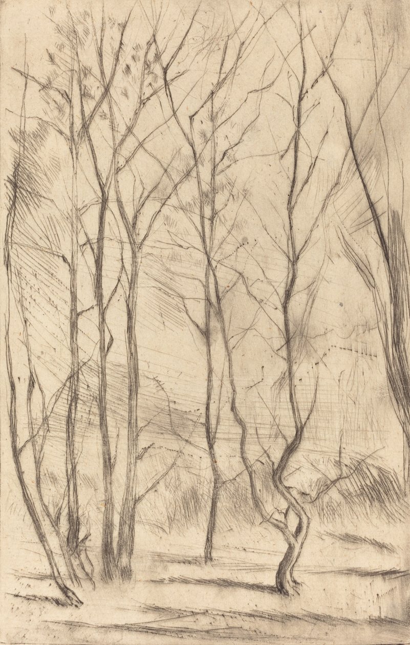 Damskogen, 1875. av James Abbott McNeill Whistler