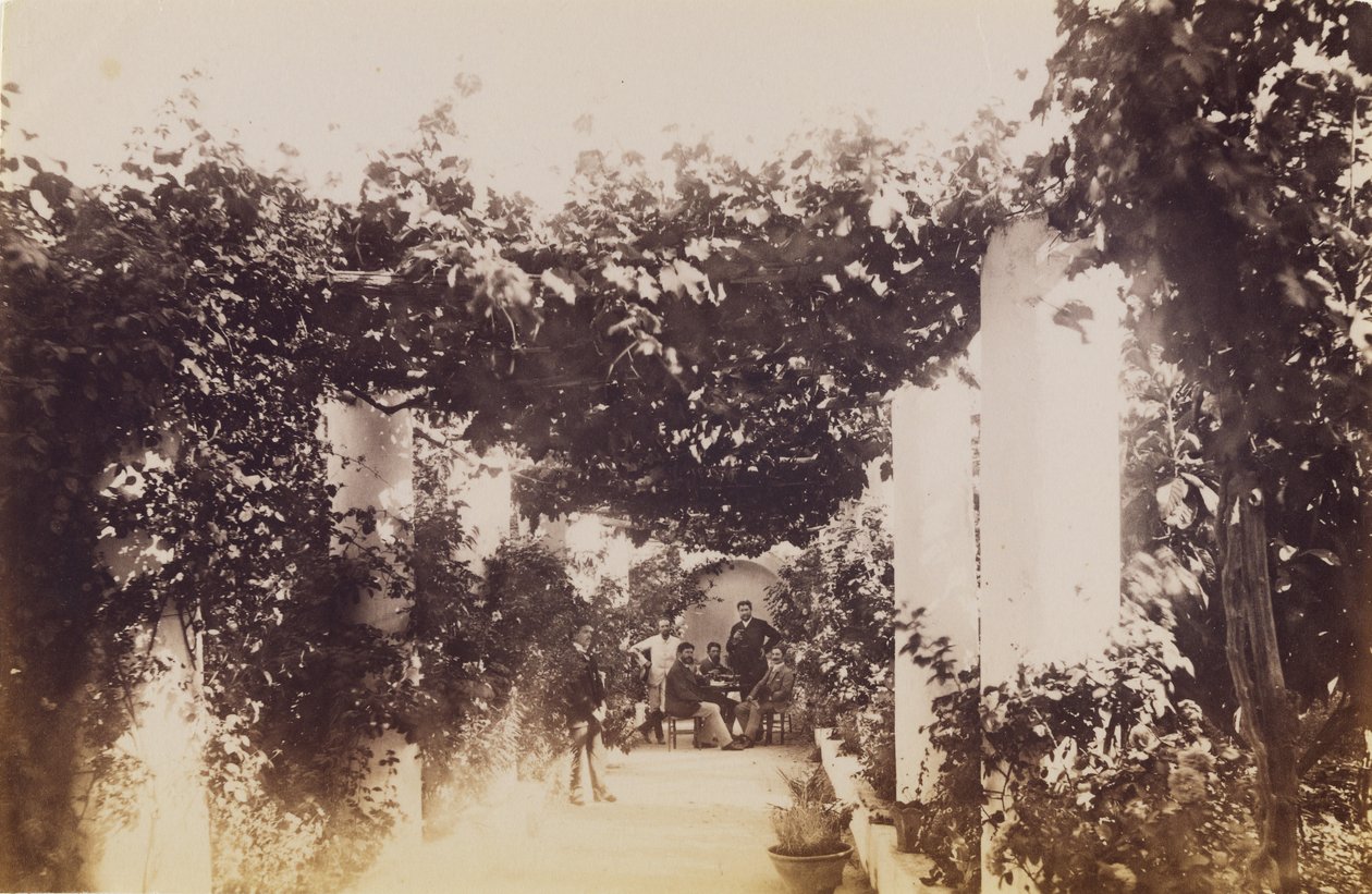 Trädgård - Capri av James Anderson