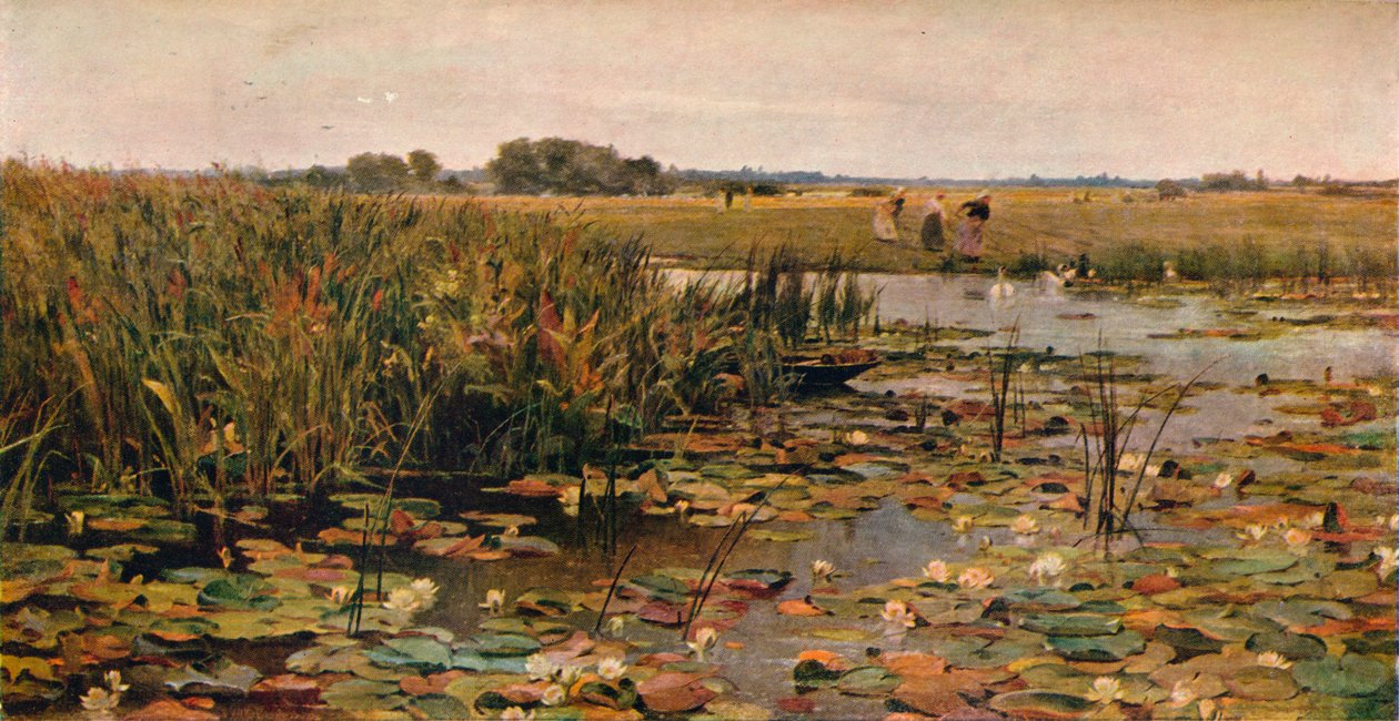 Näckrosor, c1870 av James Aumonier