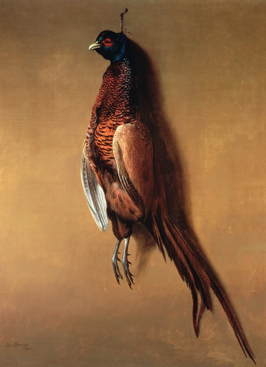 Hängande tuppfasan, 1822 av James Barenger