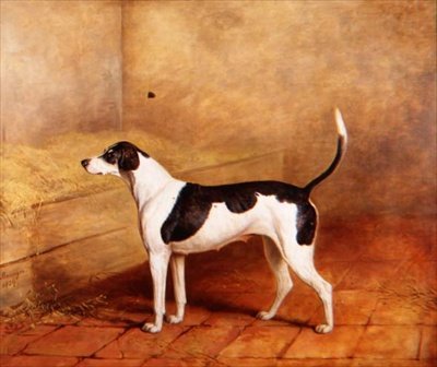 Hunden "Nosegay" i ett stall av James Barenger