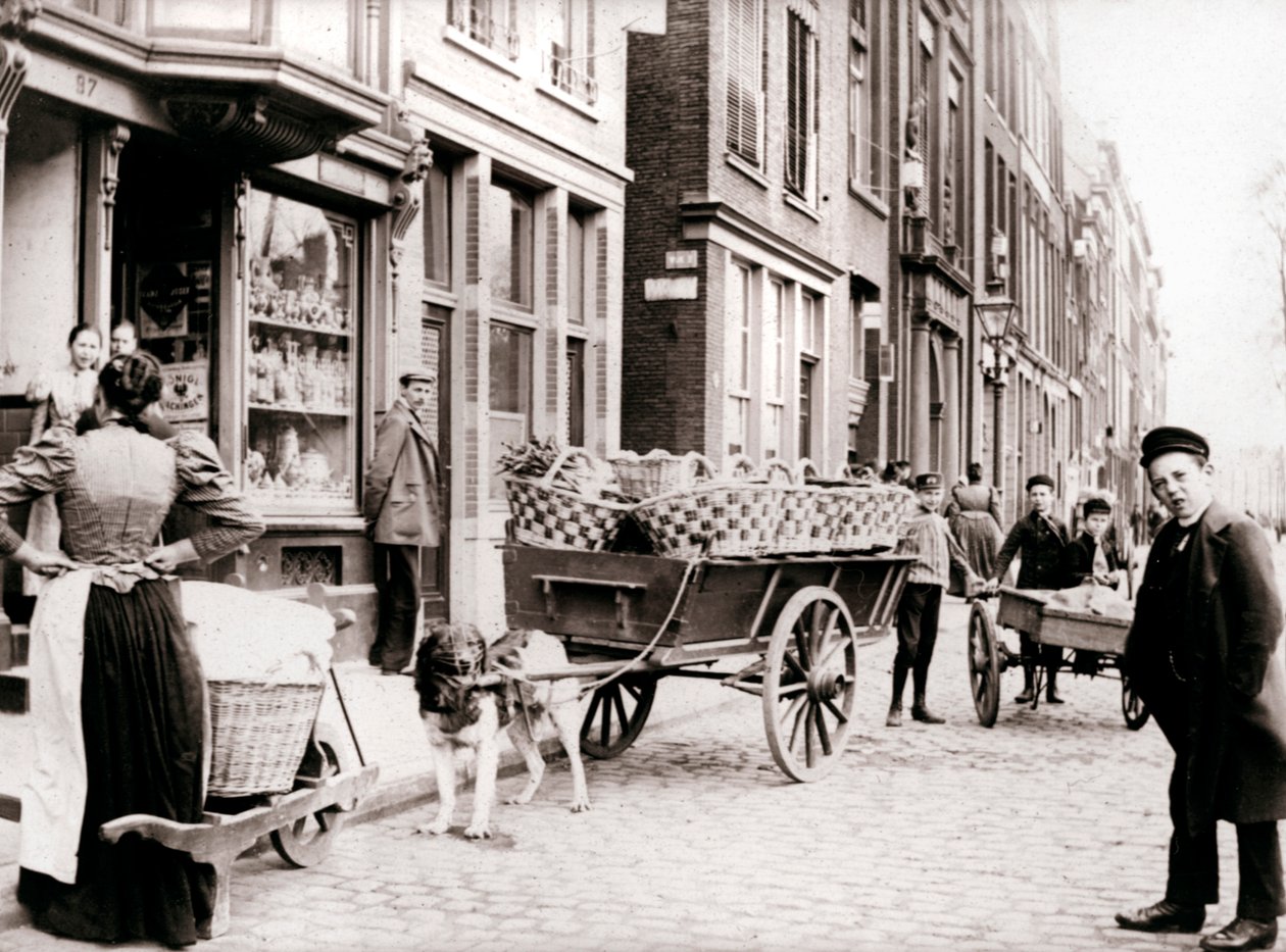 Dogcart, Antwerpen, 1898. av James Batkin