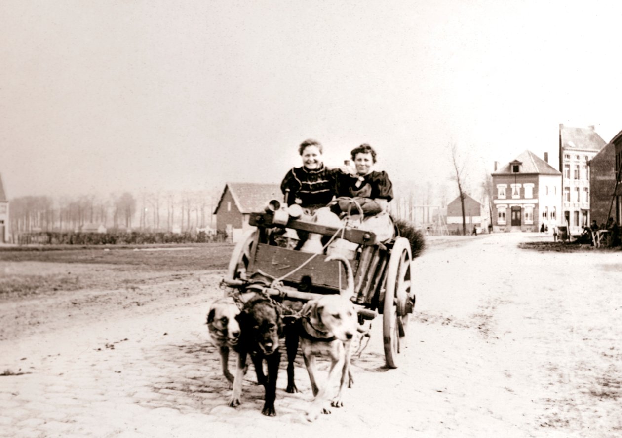 Hundar som drar kvinnor på en vagn, Antwerpen, 1898. av James Batkin