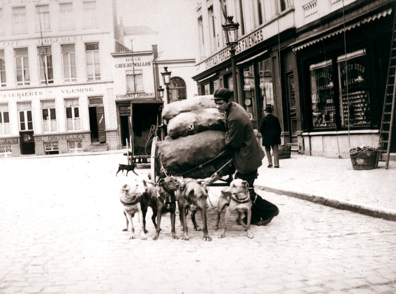 Man med hundkärra, Antwerpen, 1898 av James Batkin