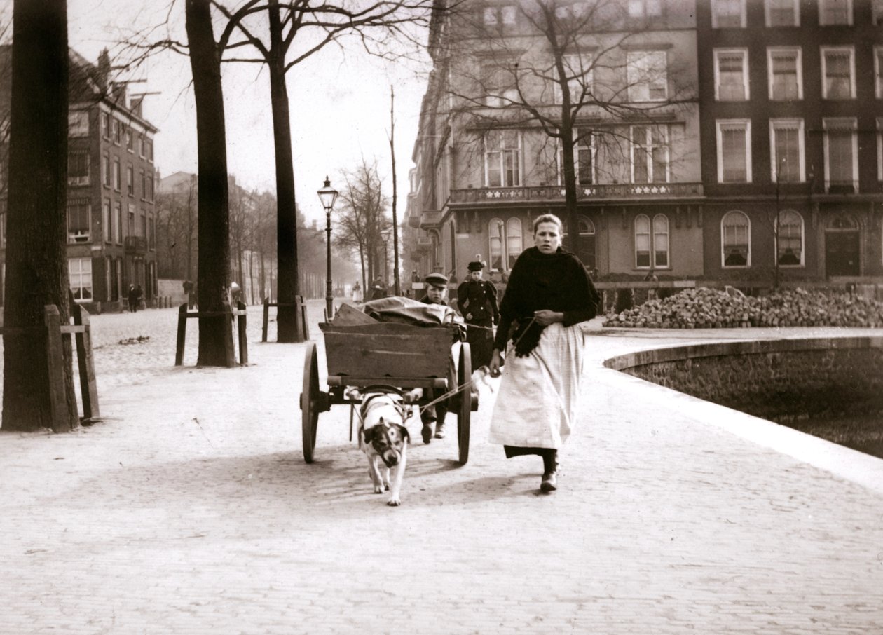 Kvinna med hundkärra, Rotterdam, 1898. av James Batkin