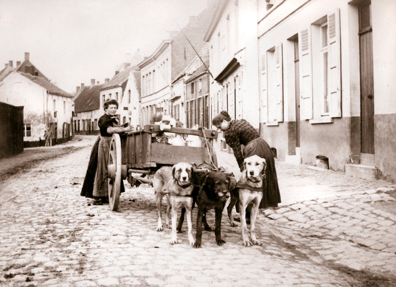 Kvinnor och hundkärra, Antwerpen, 1898 av James Batkin
