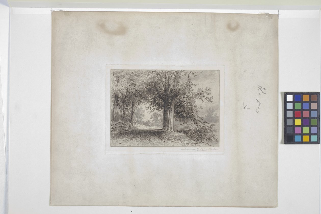 Landskap (etsning, chine collé) av James David Smillie