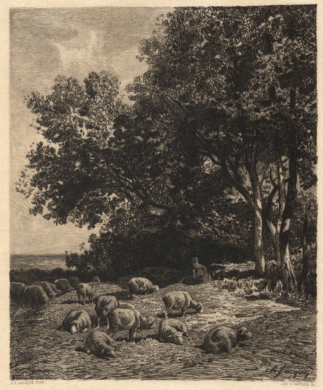 Landskap och får av James David Smillie