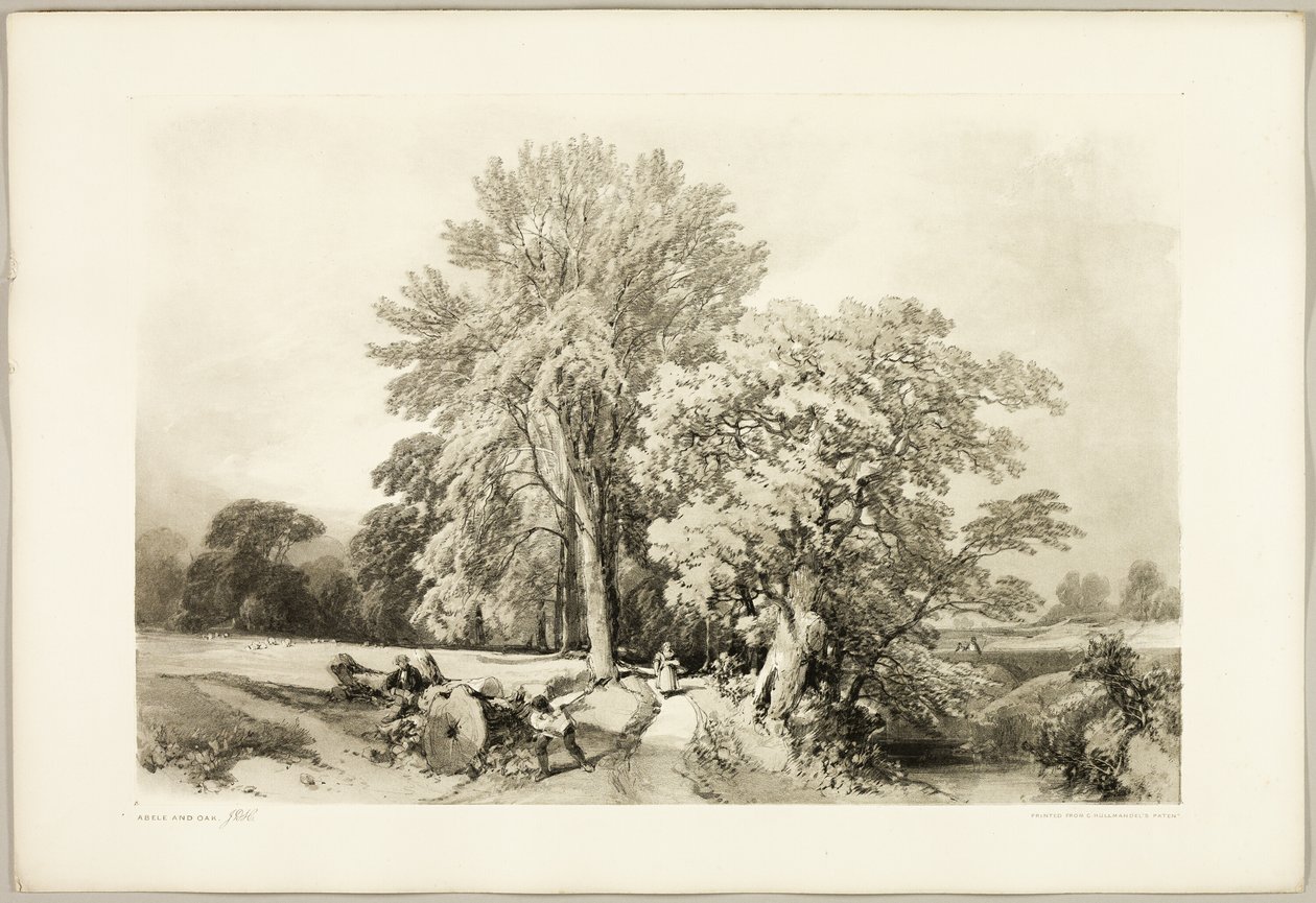 Abele och ek, från Parken och skogen av James Duffield Harding