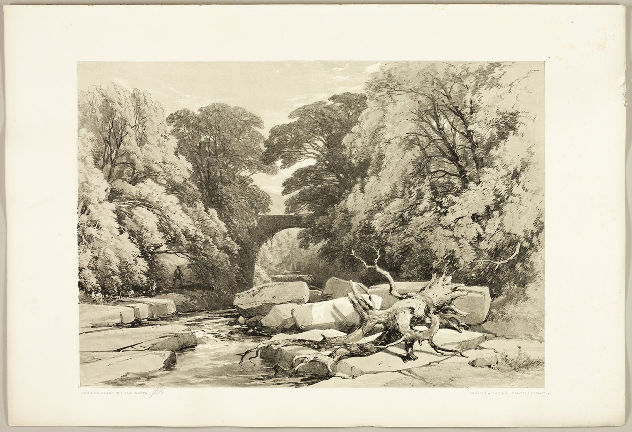Ask and Alder on the Greta, från Parken och skogen av James Duffield Harding