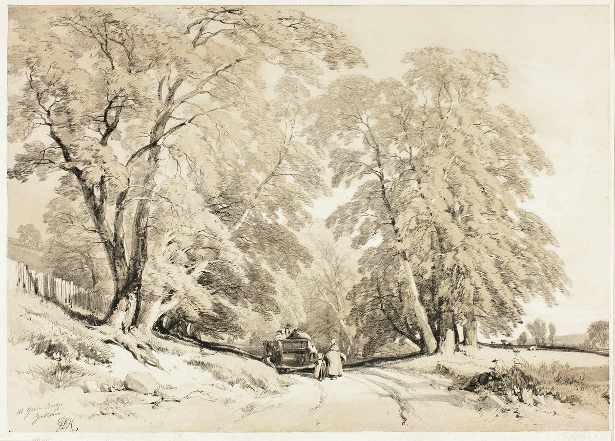 Ask, från Parken och skogen av James Duffield Harding