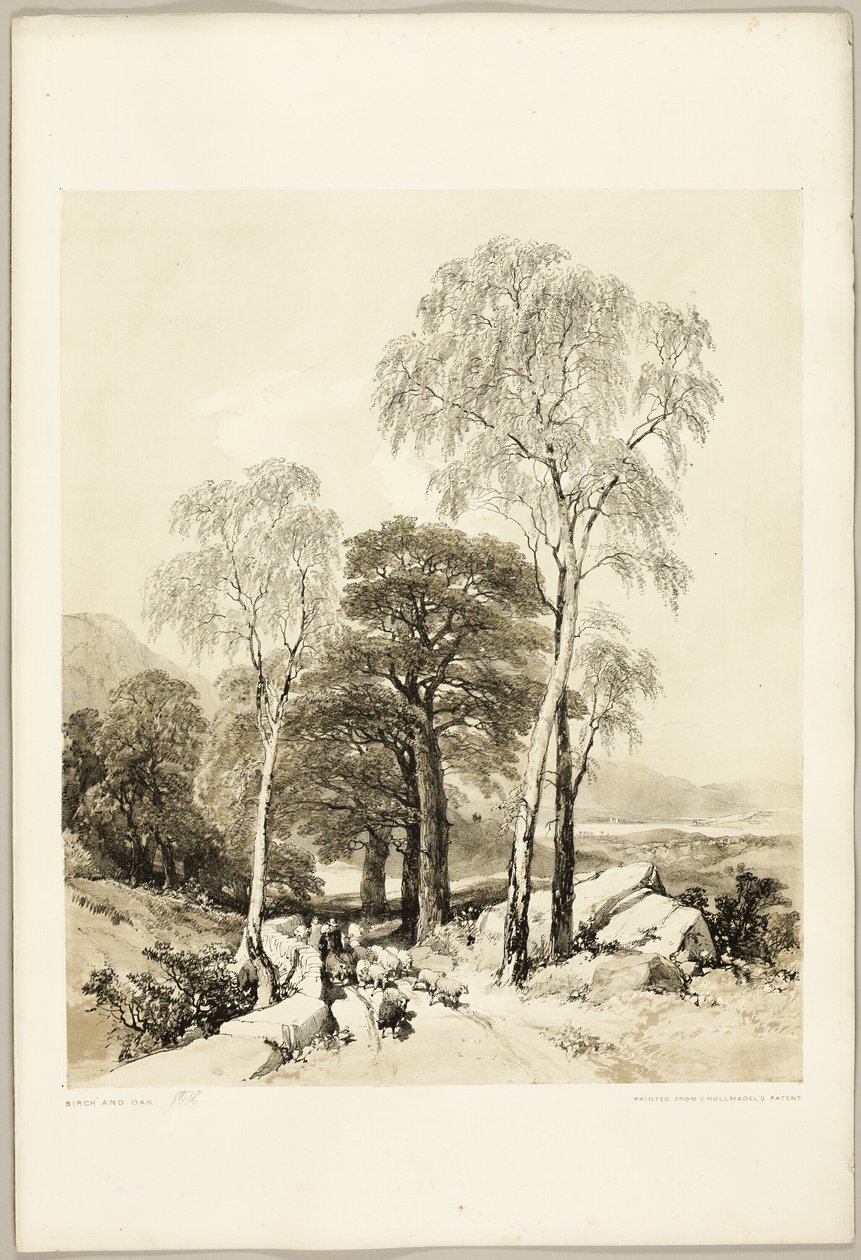 Björk och ek, från Parken och skogen av James Duffield Harding