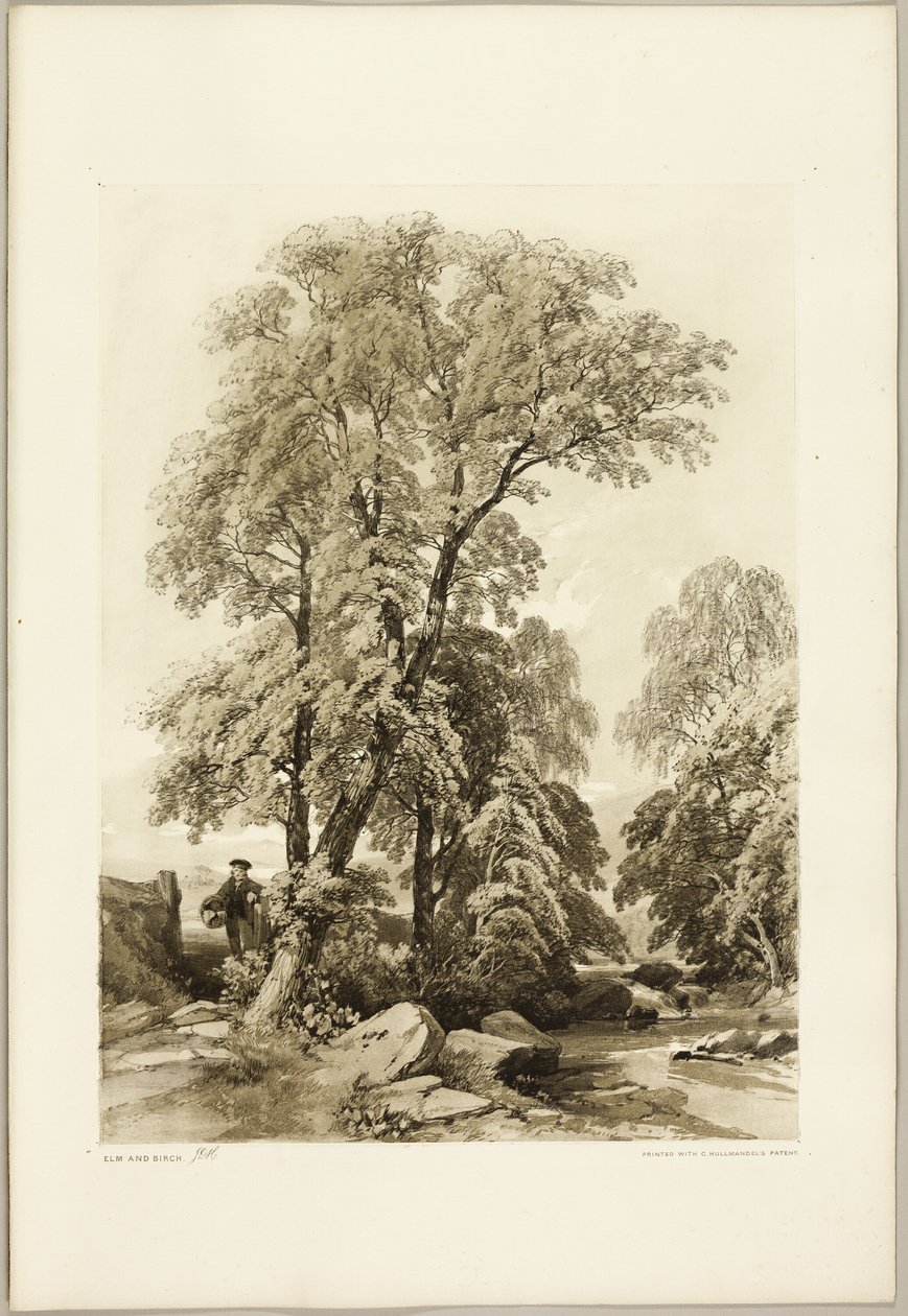 Alm och björk, från Parken och skogen av James Duffield Harding