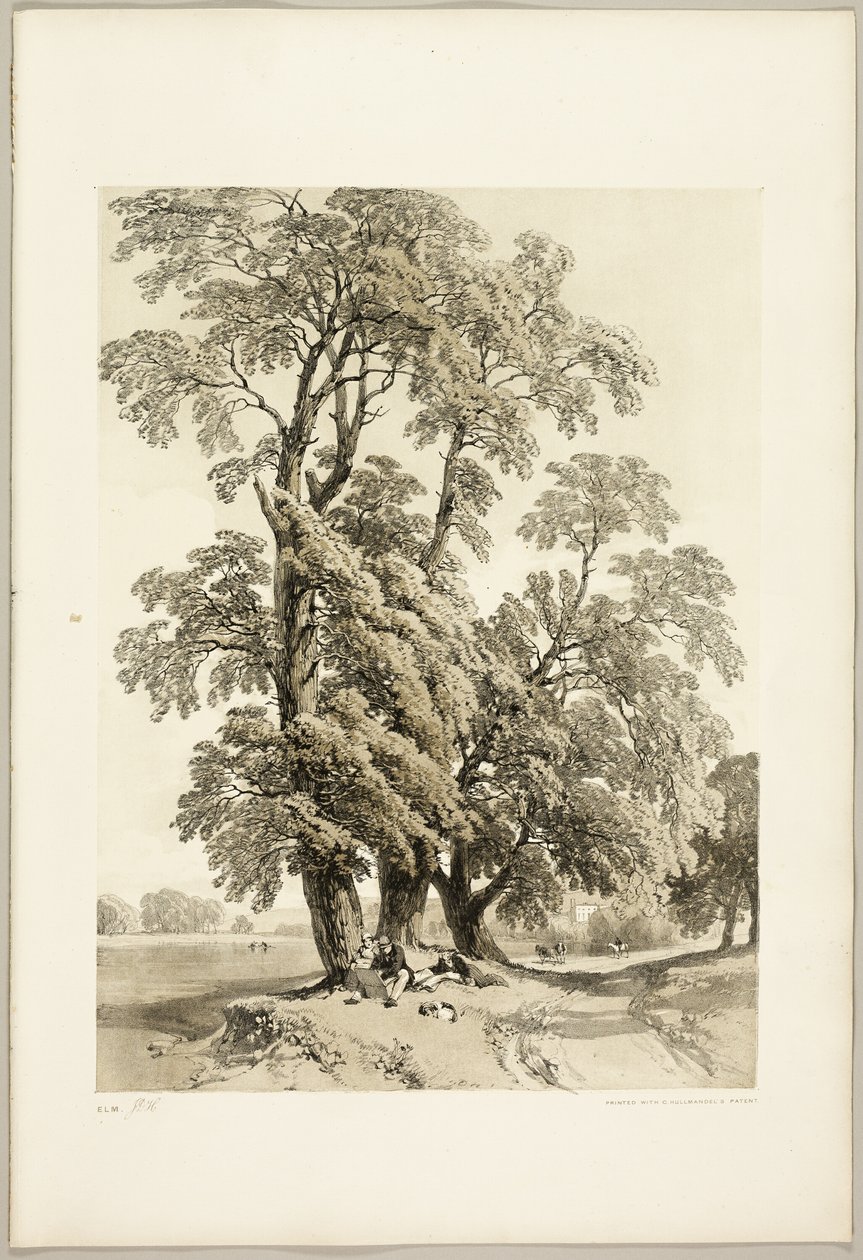 Alm, från Parken och skogen av James Duffield Harding