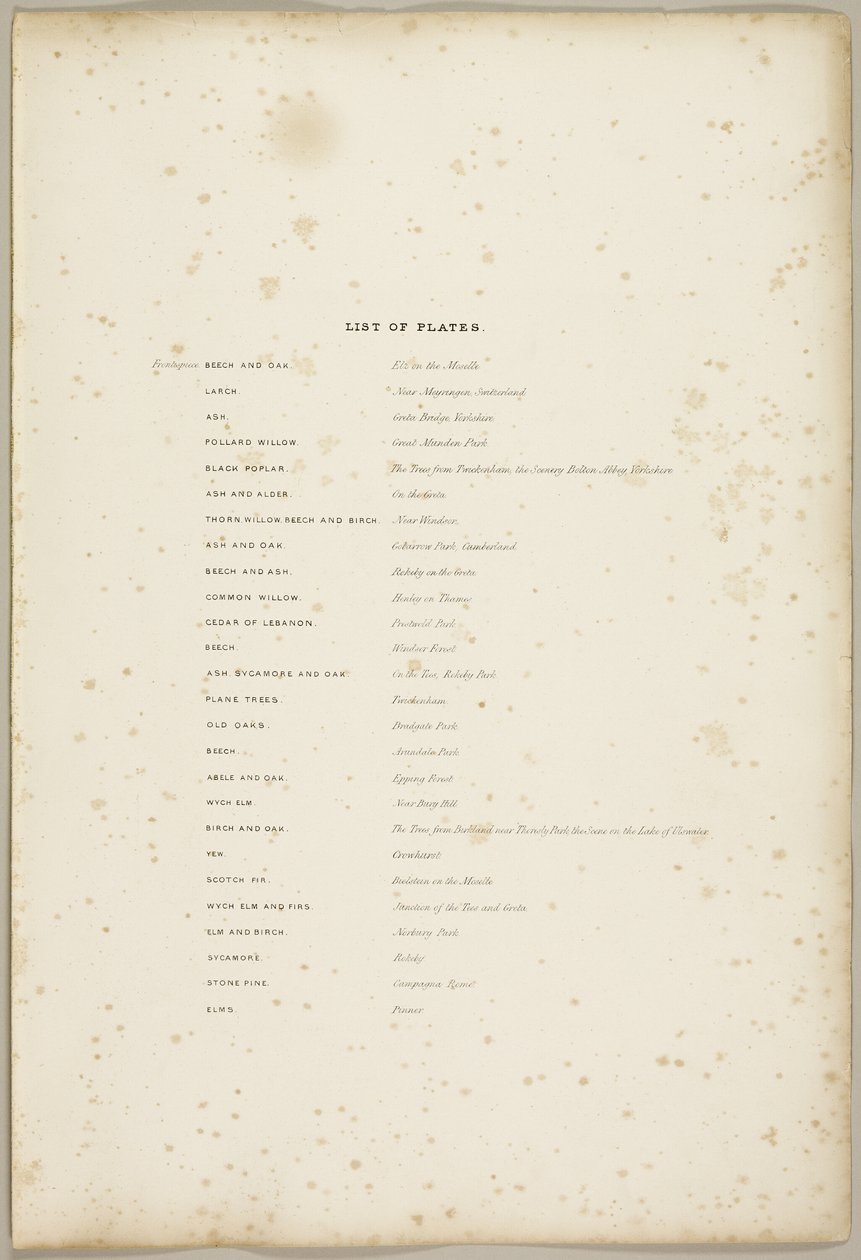 Lista över tallrikar, från Parken och skogen av James Duffield Harding