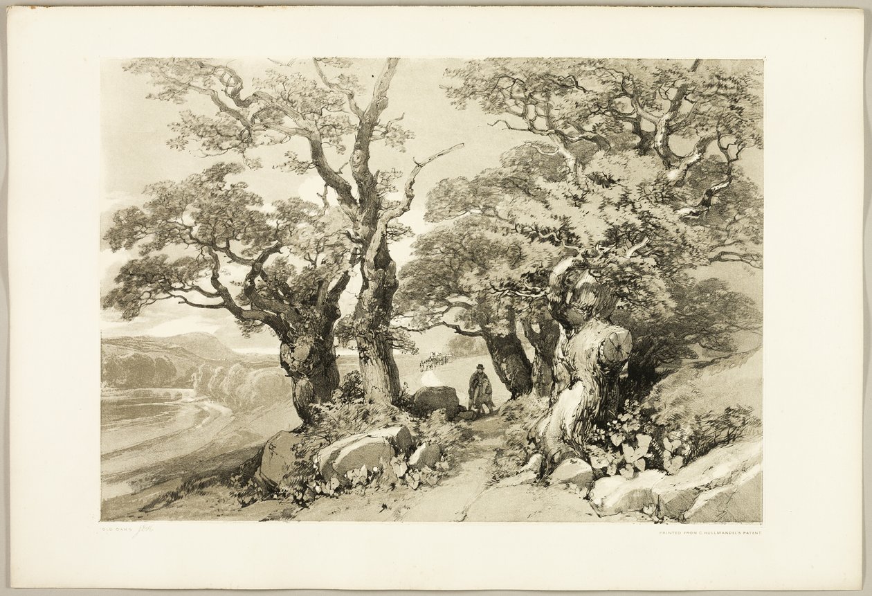 Old Oaks, från The Park and the Forest av James Duffield Harding
